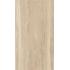Genesis Sunny Vein Outdoor 60x120