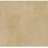 City Stone Senape 60х60 Nat. Ret.