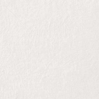 Chromagic Tasty Oyster Naturale Ret. 60x60