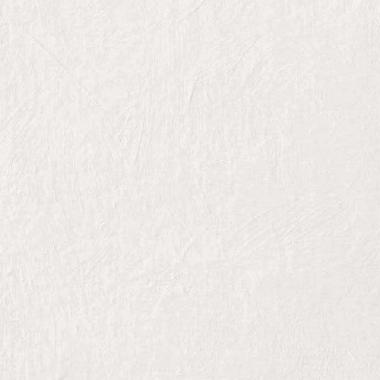 Chromagic Tasty Oyster Naturale Ret. 60x60