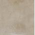 Approach Taupe Nat 60x60