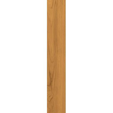 Fabula Theca Nat. Ret. 20x120