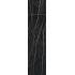 Prexious of Rex Thunder night Matte Ret. 30x120