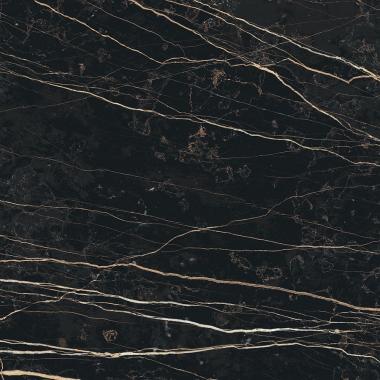 Prexious of Rex Thunder night Matte Ret. 60x60