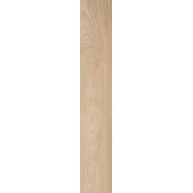 Fabula Ulmus Nat. Ret. 20x120