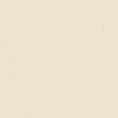 T.U Warm White Naturale Ret. 30x30