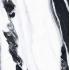 B&W_Marble Wave Naturale Ret. 60x60