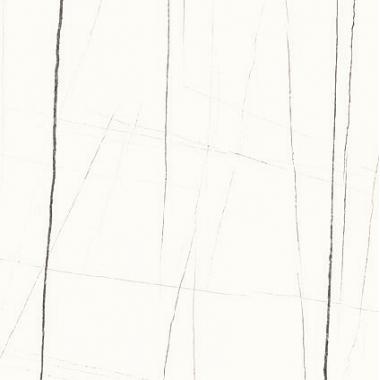 Sahara Noir White Natural Ret. 120x120
