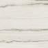 Prexious of Rex White fantasy Matte Ret. 60x60
