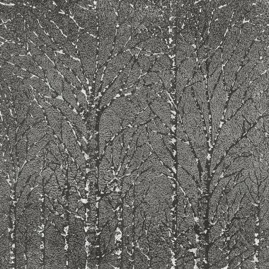 Fusion Wood Platinum Liscia Lap. Ret. Composizione (3 Pezzi)  49x49 11mm
