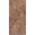 Chicago Wrigley Nat. 10x20